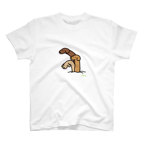 3本の長い犬 スタンダードTシャツ