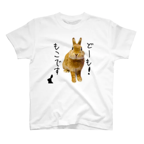 どーも！もこです。Tシャツ Regular Fit T-Shirt