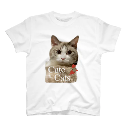 Cute cat.（文字入り） スタンダードTシャツ