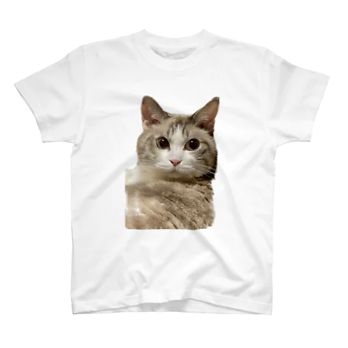 Cute cat. Regular Fit T-Shirt