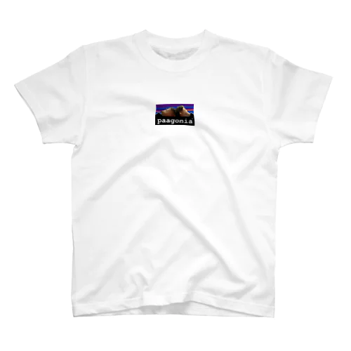 パタゴニア Regular Fit T-Shirt