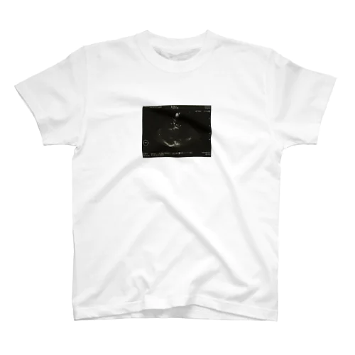 にゅーとんのあたまのえこー Regular Fit T-Shirt