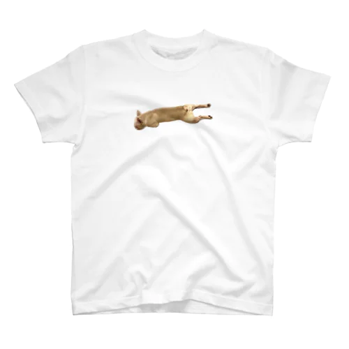 落ちてる犬 Regular Fit T-Shirt