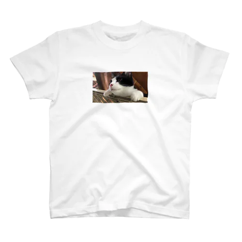 【子猫譲渡】ボスくん♂ Regular Fit T-Shirt