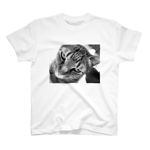 深夜猫 Regular Fit T-Shirt