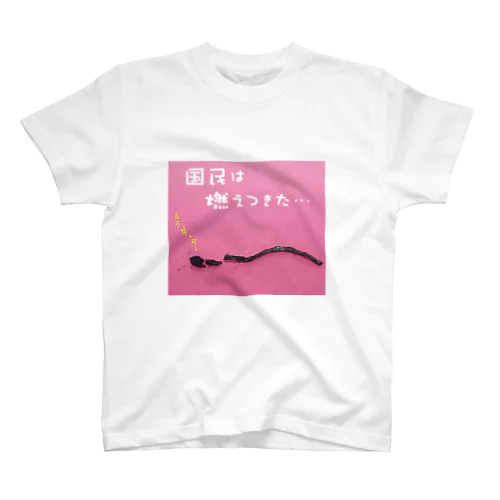 国民の声 スタンダードTシャツ