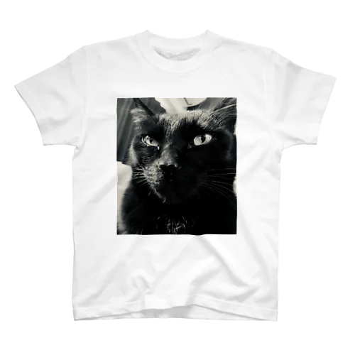 深夜猫 Regular Fit T-Shirt