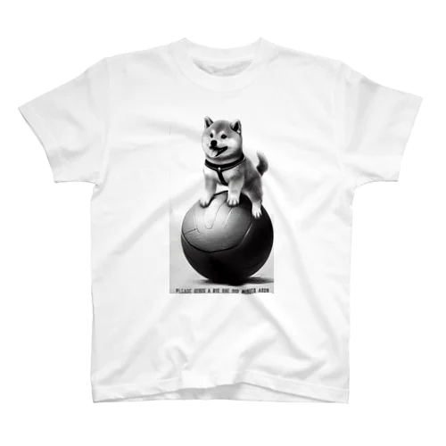 【第1弾】siba_kun Tシャツ Regular Fit T-Shirt