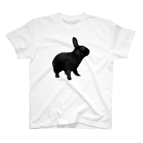 黒ウサギのルーさん　Tシャツ スタンダードTシャツ