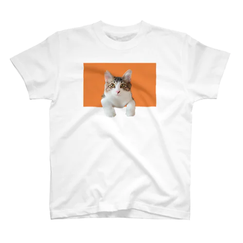 だいちゃんオレンジ スタンダードTシャツ