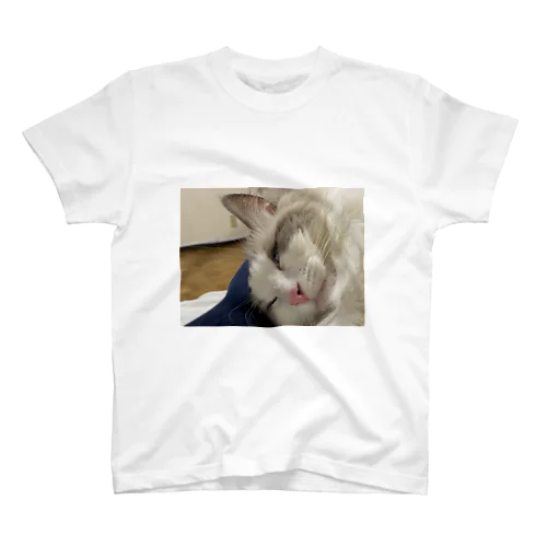 うちのねこ Regular Fit T-Shirt