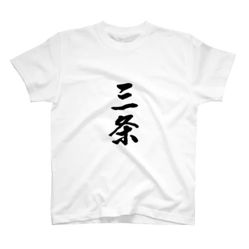 三条 スタンダードTシャツ