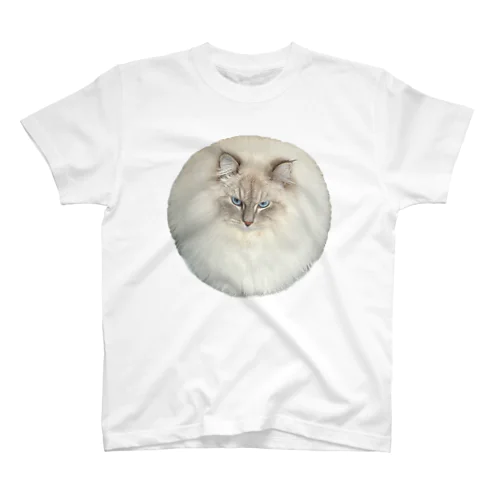 まんまる猫いれぶん Regular Fit T-Shirt