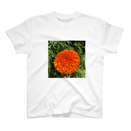 一輪の花 Regular Fit T-Shirt