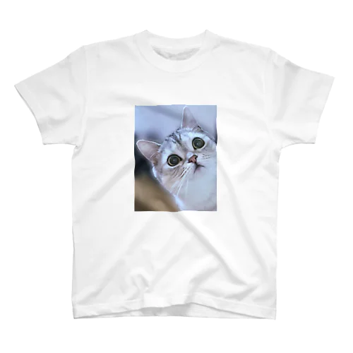 猫の名前はレオ Regular Fit T-Shirt