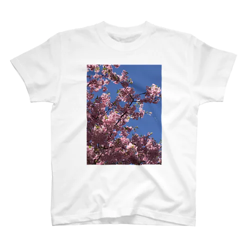 桜🌸 スタンダードTシャツ