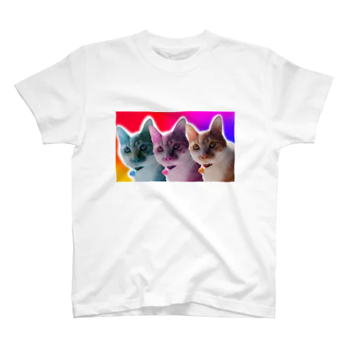 ねこのだいごろう スタンダードTシャツ