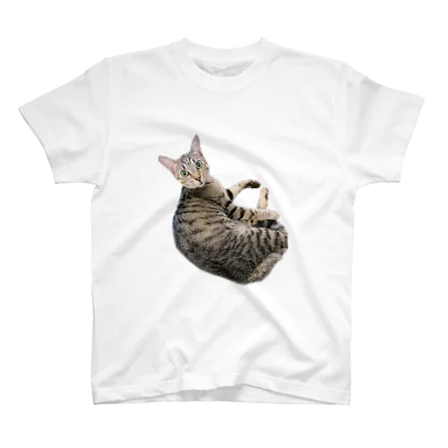 エマ　キジトラ　猫 Regular Fit T-Shirt