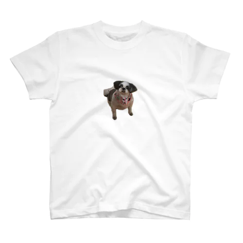シーズーのぐぅ Regular Fit T-Shirt