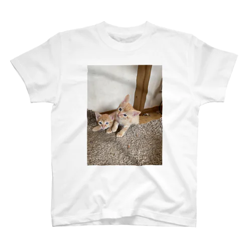 可愛い猫 スタンダードTシャツ