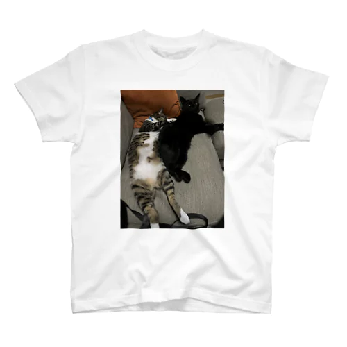 ふたりはねんねこ Regular Fit T-Shirt