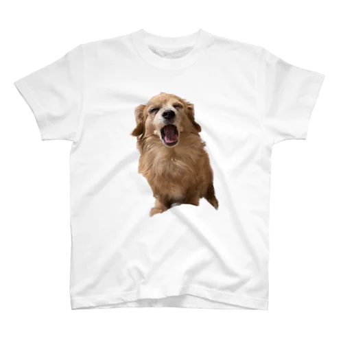 眠犬 スタンダードTシャツ