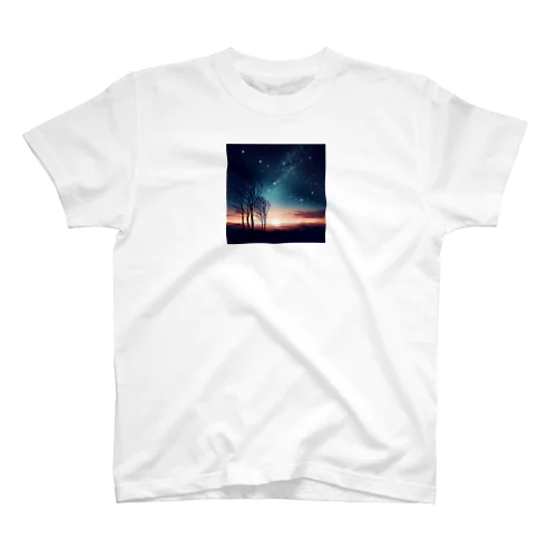 幻想的な夜空🌌 スタンダードTシャツ