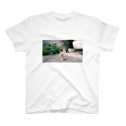 近所のねこシリーズ Regular Fit T-Shirt