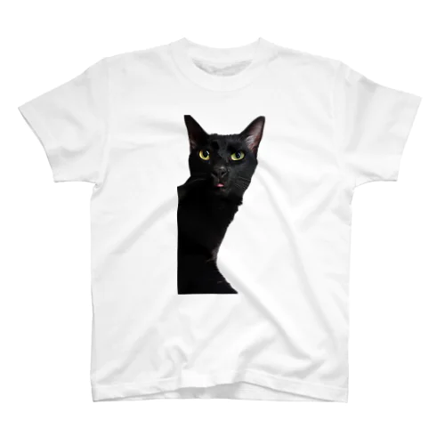 猫あるある Regular Fit T-Shirt