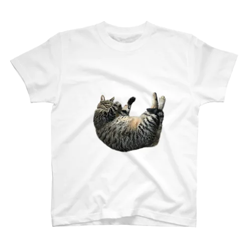 こんなところに猫が落ちてる Regular Fit T-Shirt