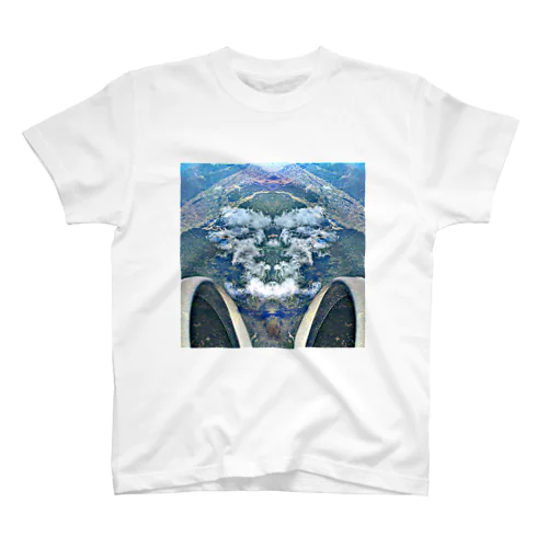 dragonface 上空から Regular Fit T-Shirt