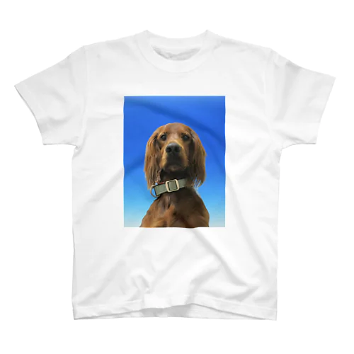 証明写真犬 スタンダードTシャツ