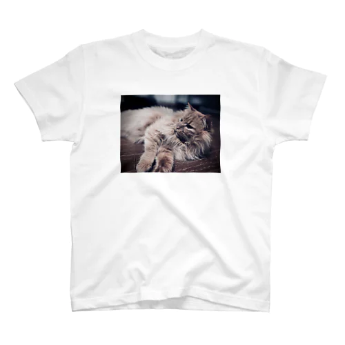 貴賓溢れる猫のtシャツ 티셔츠