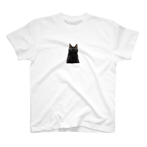 黒猫 Regular Fit T-Shirt