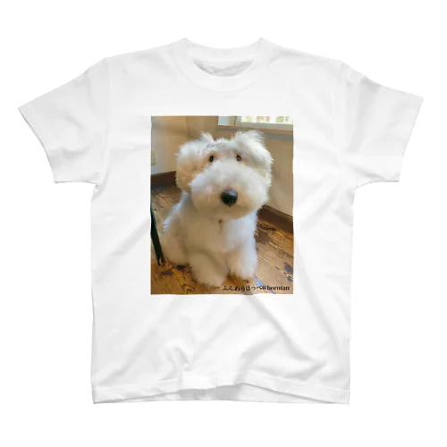 ちゅうちゃんTシャツ　Chewchan T-shirt Regular Fit T-Shirt