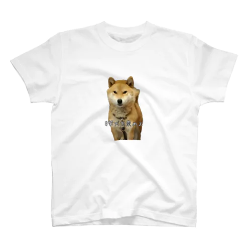 #柴犬を崇めよ うちのアイドル Regular Fit T-Shirt