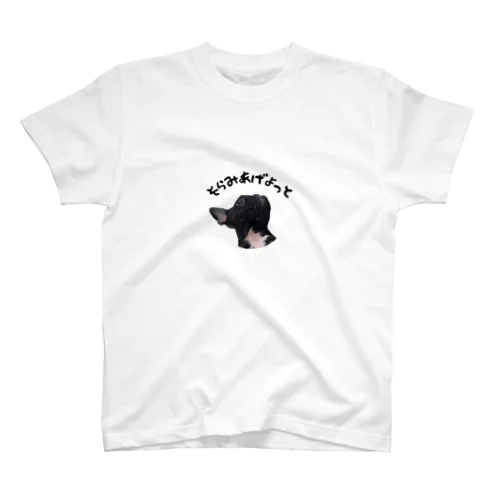 そらみあげよっとよるちゃん Regular Fit T-Shirt