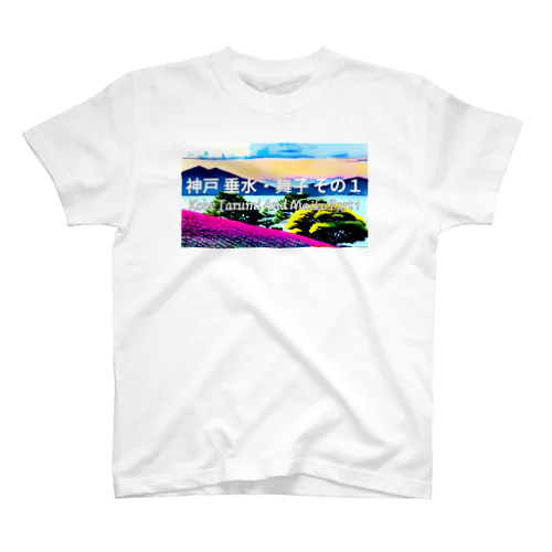 神戸垂水・舞子その１ Regular Fit T-Shirt