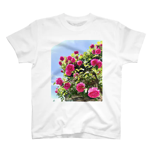 薔薇と青空 スタンダードTシャツ