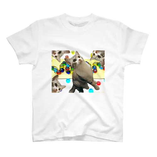 Marble Run Cats Regular Fit T-Shirt