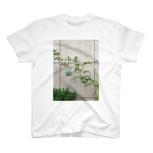 “SALVATION No.113” Regular Fit T-Shirt