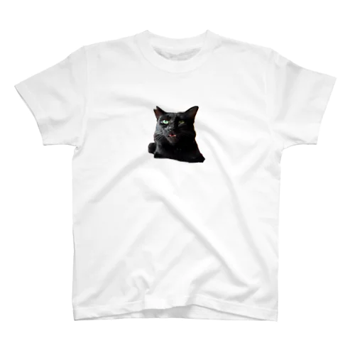 やるんか Regular Fit T-Shirt