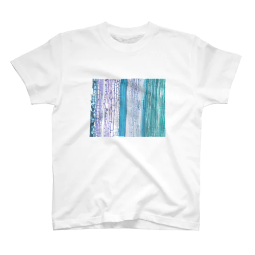 Toluidine blue 1 スタンダードTシャツ