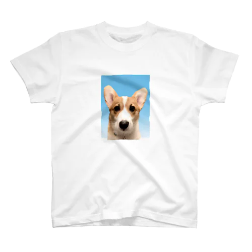 犬 証明写真 コーギー スタンダードTシャツ