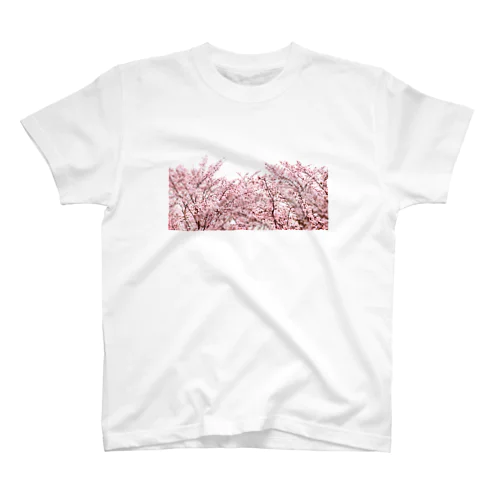 春と桜 Regular Fit T-Shirt