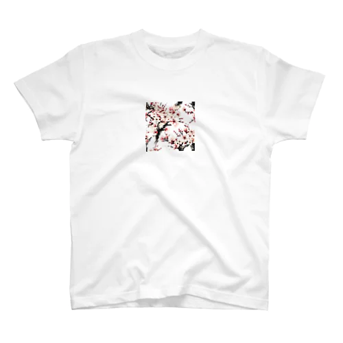 sakura. スタンダードTシャツ