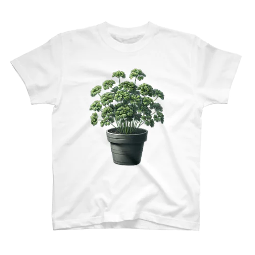 鉢植えのパセリ_240127 スタンダードTシャツ