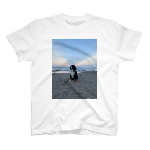 海と空　バーニーズ Regular Fit T-Shirt