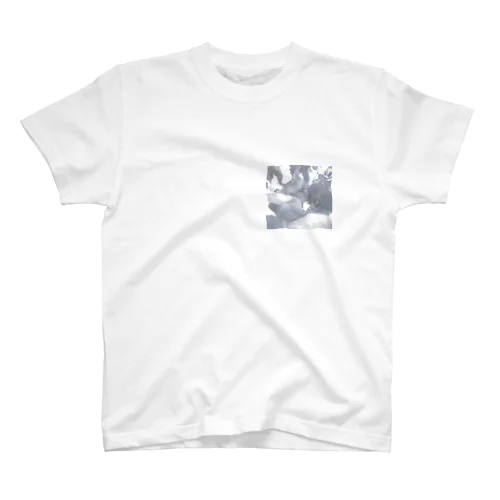 ねこ、とける Regular Fit T-Shirt