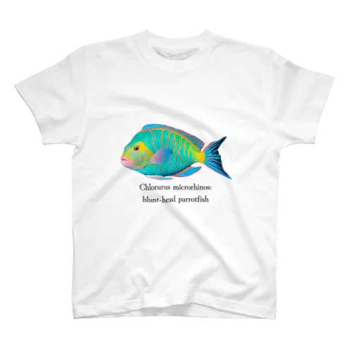 イラブチャー（ブダイ）魚バージョン スタンダードTシャツ